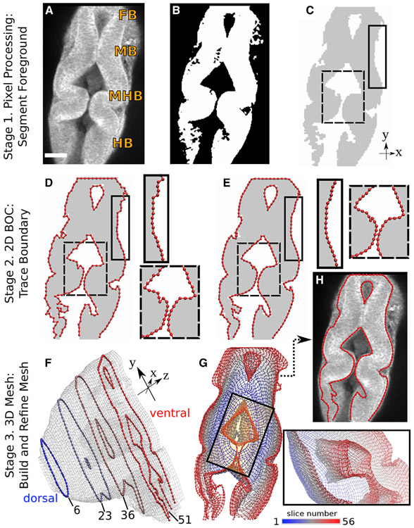 FIGURE 1