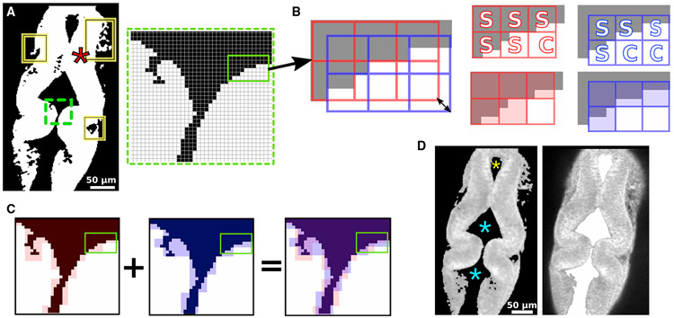 FIGURE 3