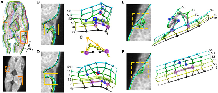 FIGURE 6