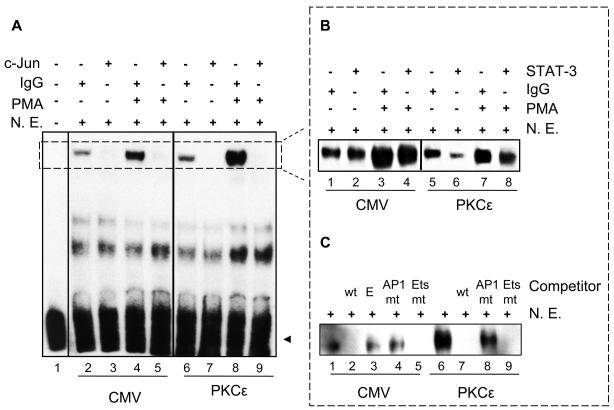 Figure 7