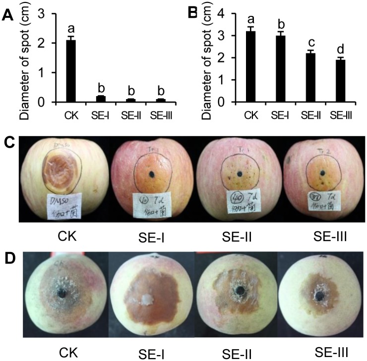 Fig 4