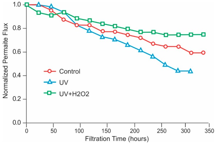 Figure 24