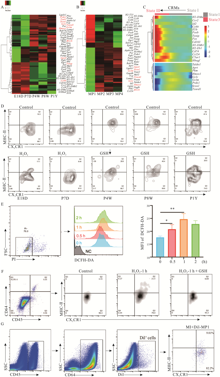 Figure 6