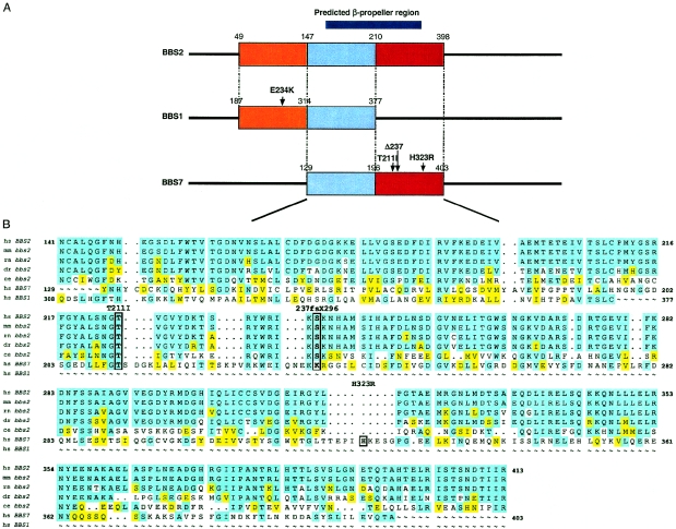 Figure  4