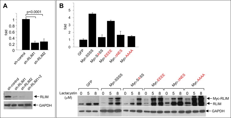 FIGURE 6: