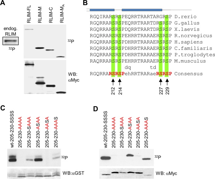 FIGURE 3: