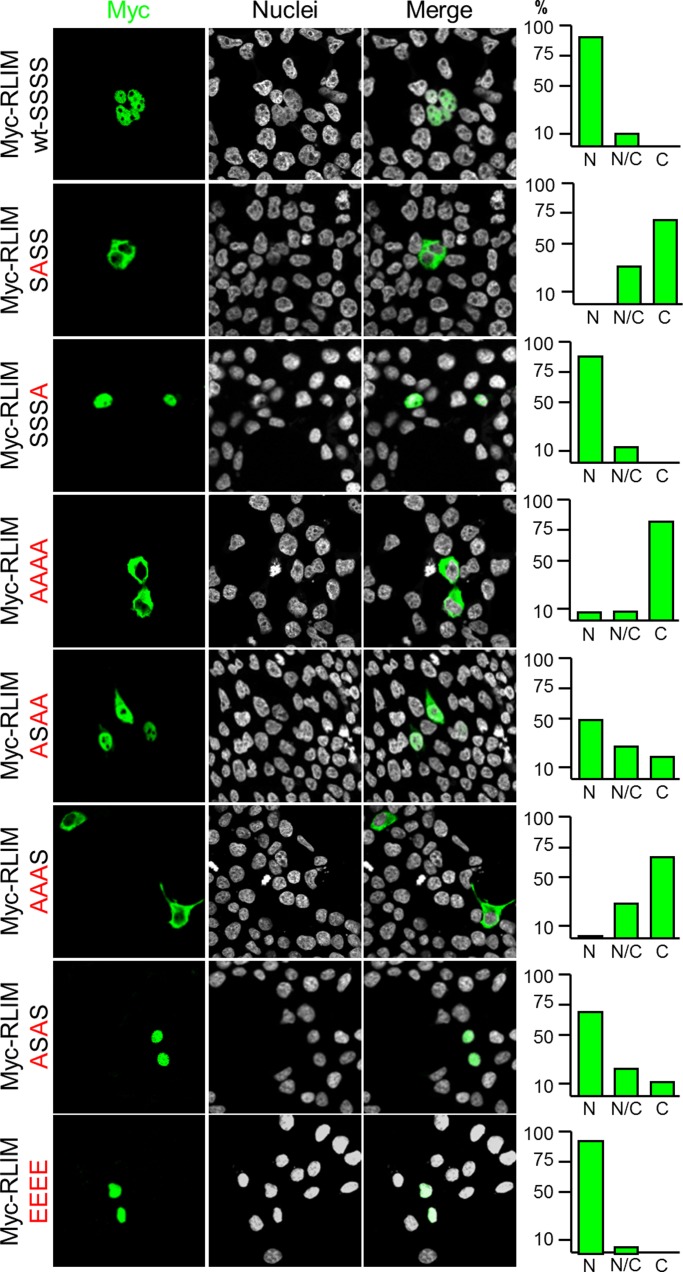 FIGURE 5: