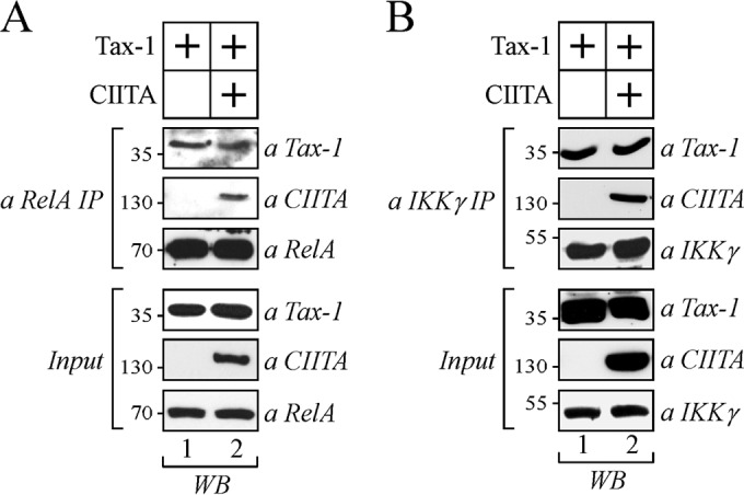 FIG 10