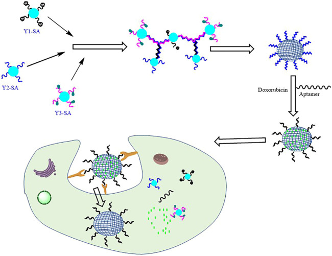 FIGURE 3