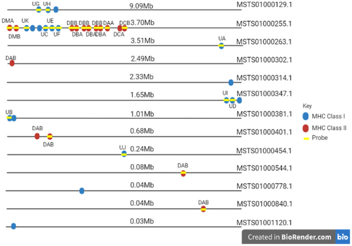 FIGURE 2