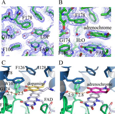 FIGURE 3.