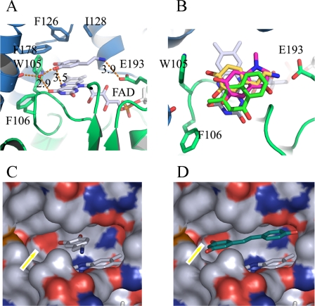 FIGURE 4.