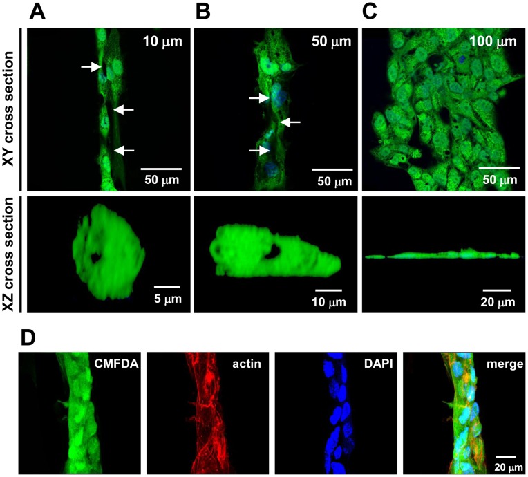 Figure 6