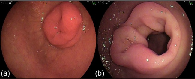 Figure 7.