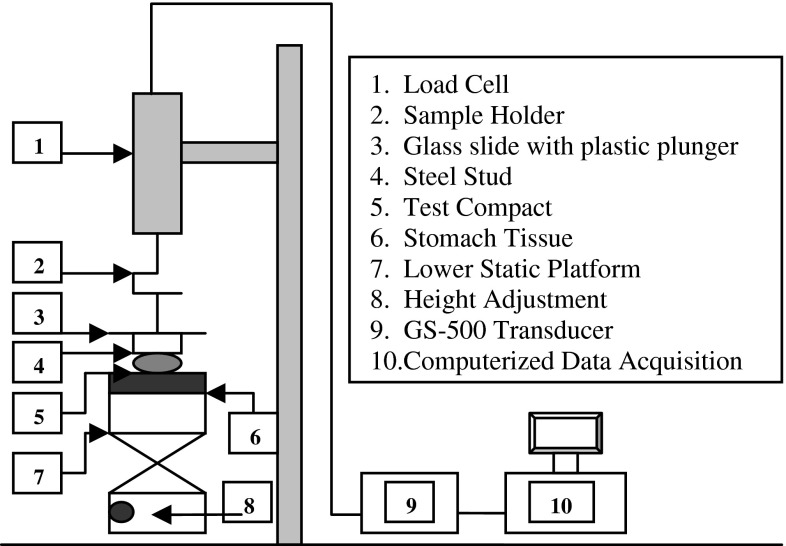 Fig. 1