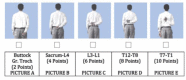 Figure 6.