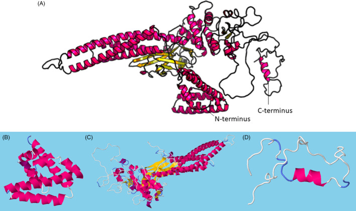 FIGURE 2