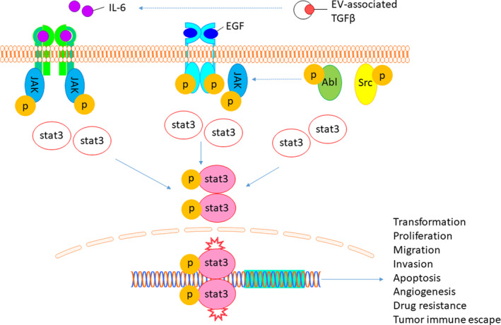 FIGURE 4