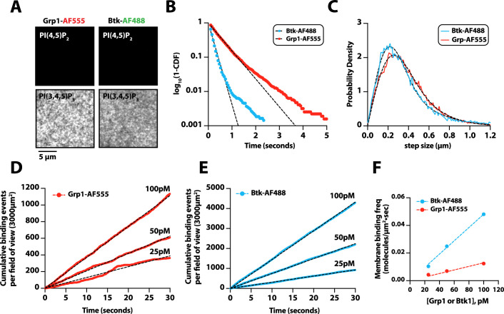 Figure 5—figure supplement 1.