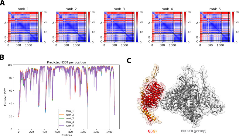 Figure 3—figure supplement 2.