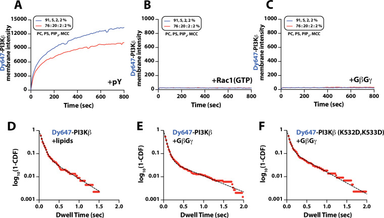 Figure 1—figure supplement 2.