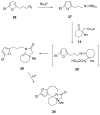 Scheme 7