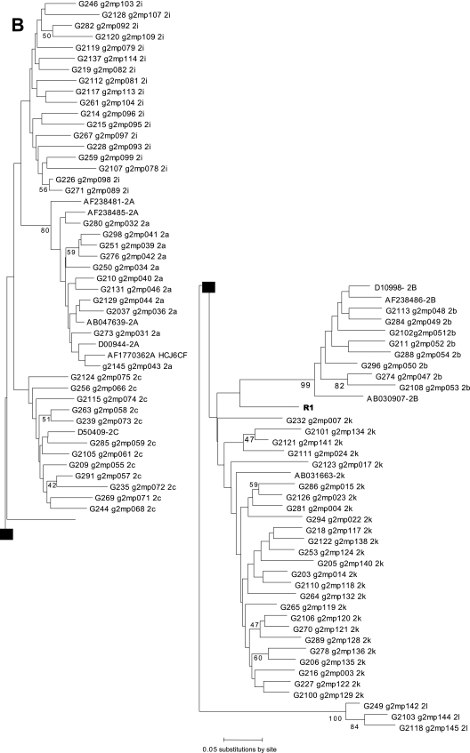 FIG. 1.