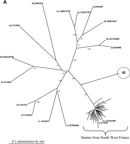 FIG. 1.