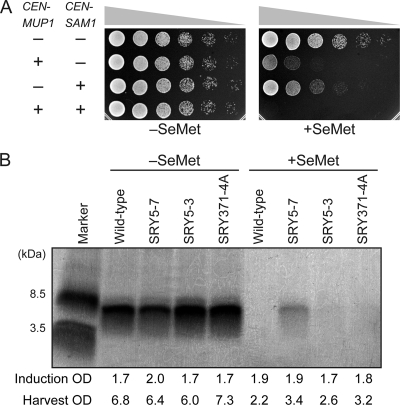 FIG. 7.