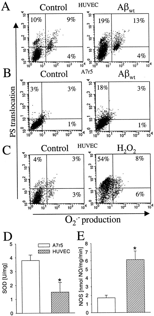 Fig. 5.