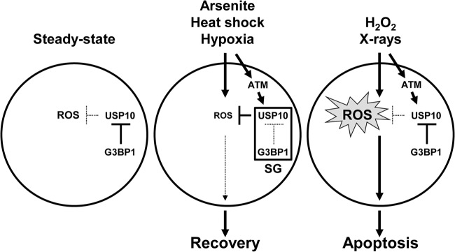 Fig 16