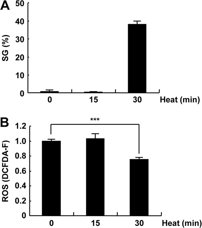 Fig 12