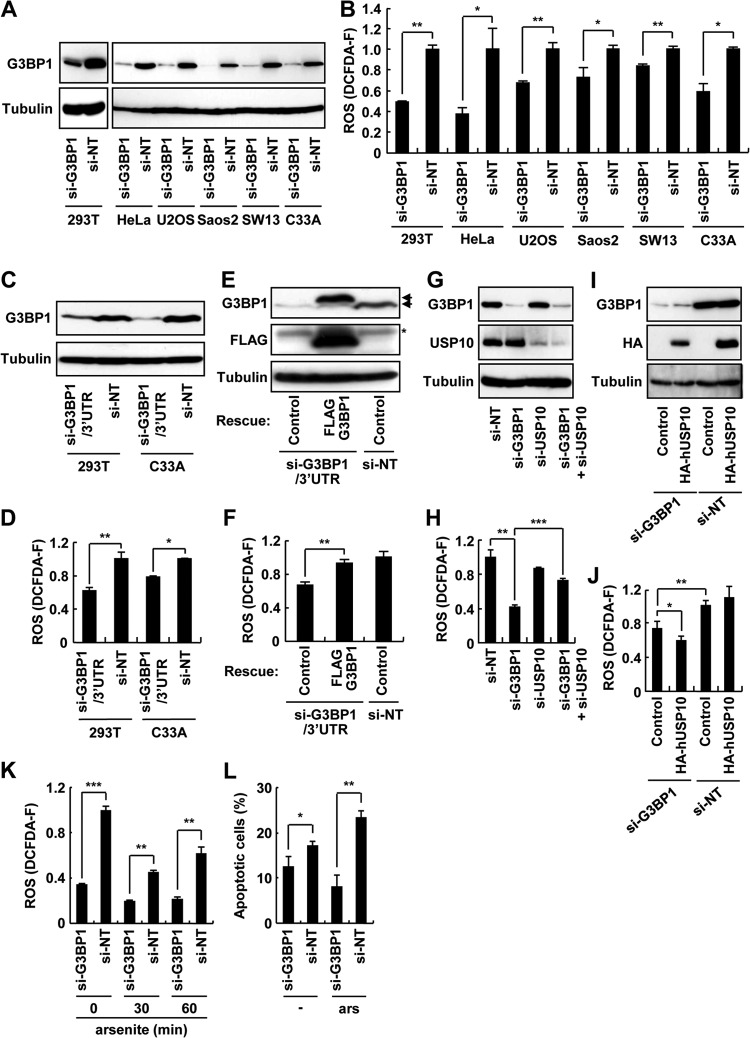 Fig 14