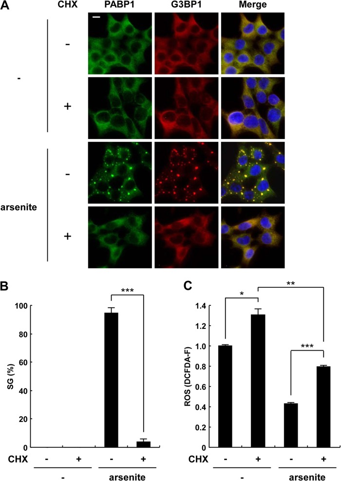 Fig 13