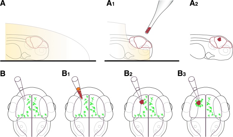 FIG. 1.