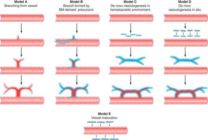 FIGURE 18.