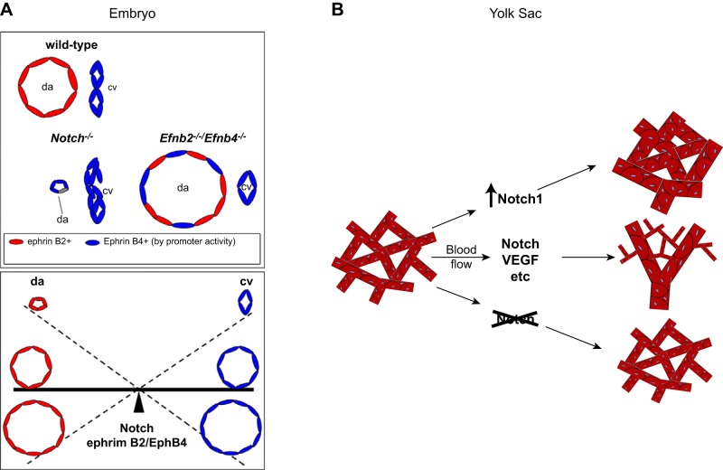 FIGURE 11.