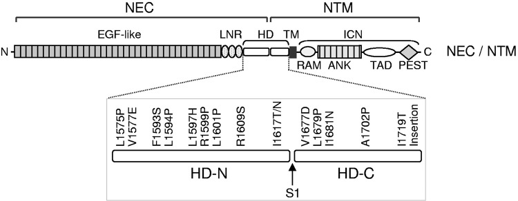 FIGURE 9.