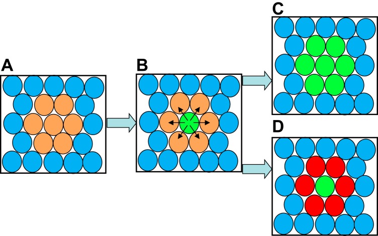 FIGURE 5.