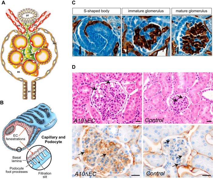 FIGURE 15.