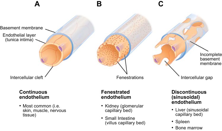 FIGURE 22.