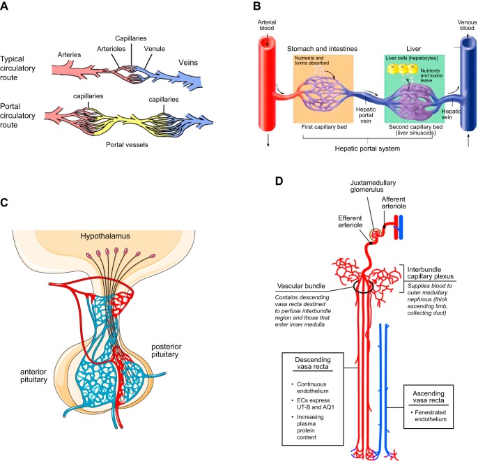 FIGURE 21.