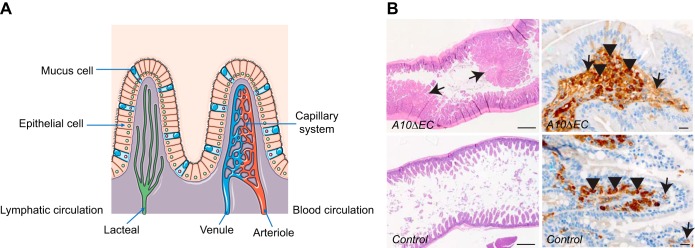 FIGURE 14.