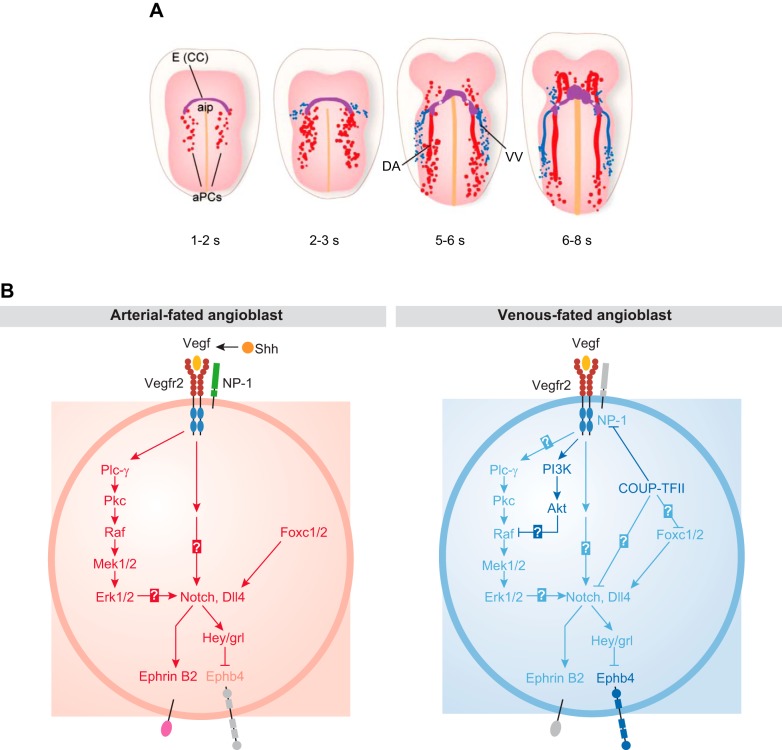 FIGURE 10.