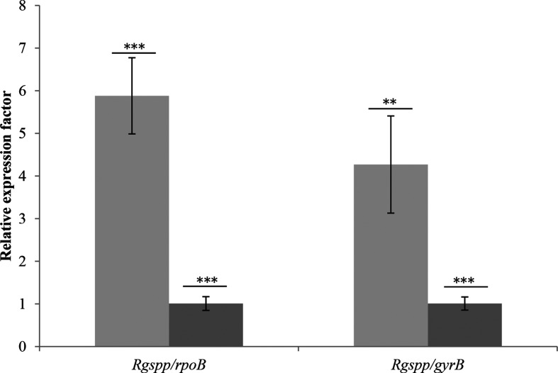 Fig. 7.