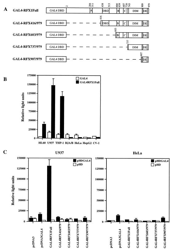 FIG. 6