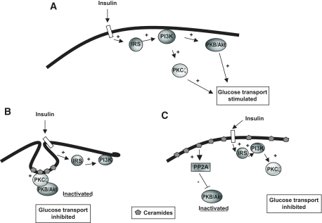 FIG. 8.