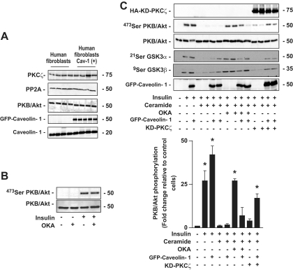 FIG. 7.