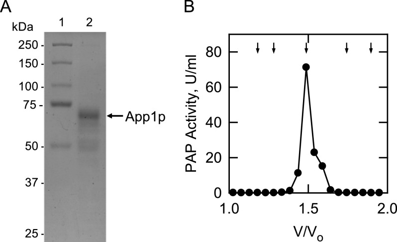 FIGURE 1.