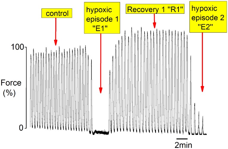 Fig. S3.